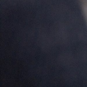 Meet your Posher, Dalia